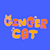 Ginger cat