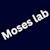 Moses Labs