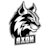 Axon