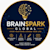 BrainSpark Pro