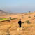 Gauransh C
