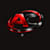 Alex C