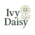 IVY D