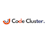 Code Custer
