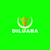 Diluara