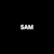 Sam Will