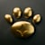 NorthPaw Studio