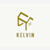 kelvin