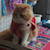 Khurk S