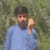 ARIAN