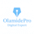 Olamidepro P
