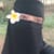 Ashmal Anul
