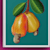 Citye