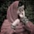 Atiya Tauqeer
