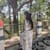 Anshika Anand