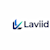 Laviid