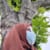 Bisma Hameed
