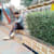 MD SAZU AHAMED