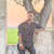 Mazharul Islam