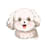 Song Anh