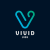 Vivid Vidz