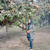 Alizay Khan
