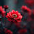Isinor A