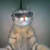 Aahan