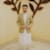 Faraz Nadeem