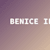 Benice I