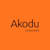 akodu omowunmi