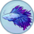 Zephyr