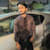 Shuja