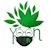 Yunn