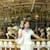 Yixun W