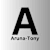 Aruna T