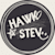 Hawkins steve