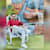 Abdul Basit