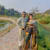 Rodat H