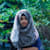 Tawfikatasnim