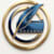 Ziad Ahmed
