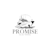 Promise B