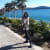 Andrea R