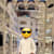 Aniket Patel
