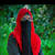 Rabia Sajjad