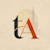 tariq akhlaq