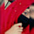 Hafsa Akbar