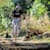 cheyann_wyeth