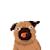 Sergio