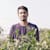 Sajjad SEO